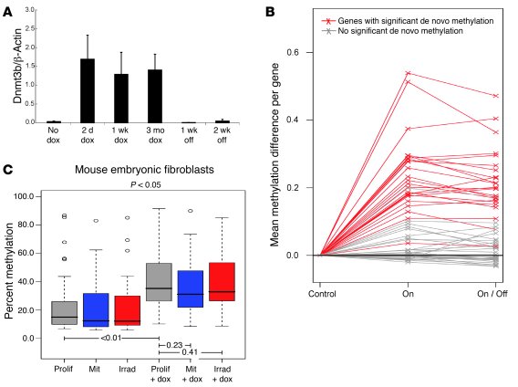 Transient expression of Dnmt3b in vivo causes permanent epigenetic alter...