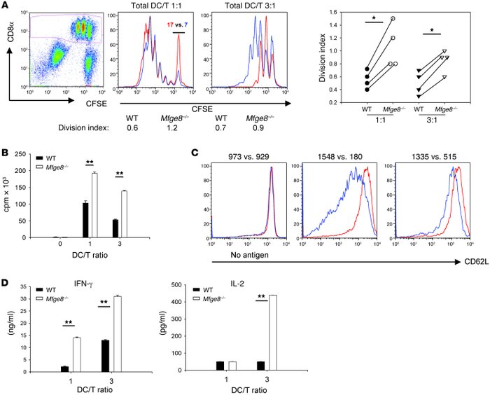 MFG-E8 deficiency enhances cross-presentation of apoptotic cell–associat...