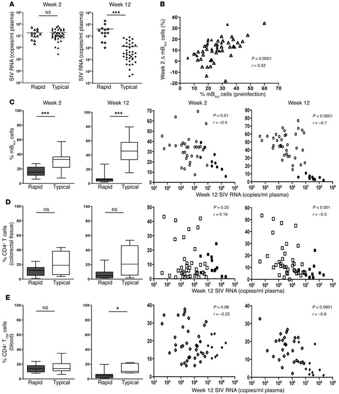 Depletion of mBAct cells is an early predictor of disease progression.
 ...