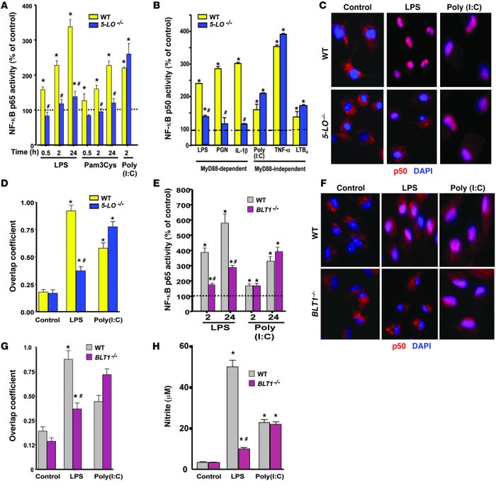 LTB4/BLT1 signaling is required for MyD88-dependent NF-κB activation.
  ...
