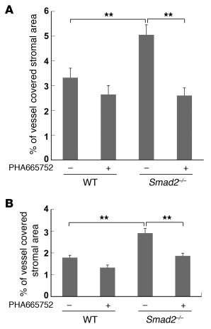 Abrogation of angiogenesis by c-Met inhibition in K5.Smad2–/– skin or or...