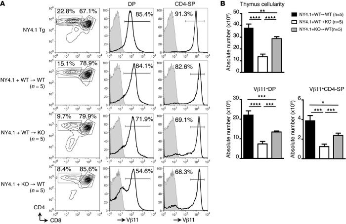 Impaired thymic development of CD4 T cells expressing the diabetogenic N...