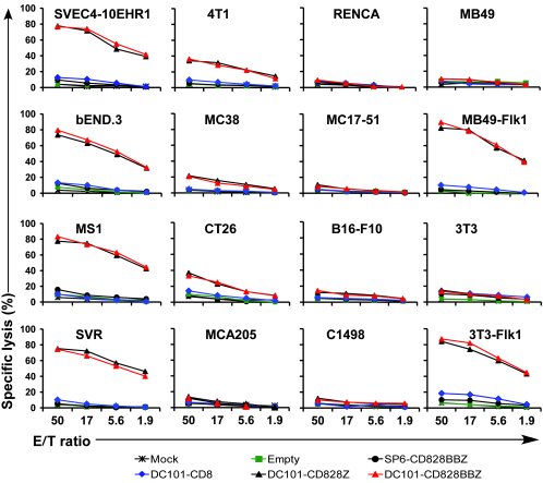 Primary mouse T cells modified to express VEGFR-2 CAR specifically lyse ...