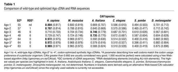 Comparison of wild-type and optimized Ago cDNA and RNA sequences 