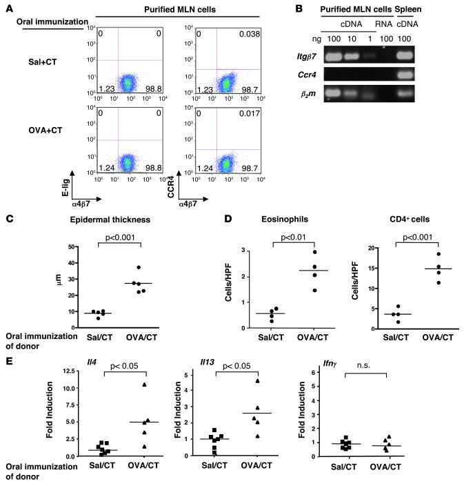 Adoptive transfer of allergic skin inflammation by CD4+α4β7+ T cells fro...