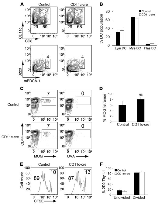 Characterization of draining lymph node DCs in β8fl/fl × CD11c-cre mice....