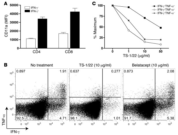 TS-1/22 inhibits T cell differentiation into CD11ahi cytokine-producing ...