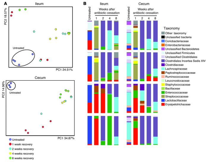 Incomplete recovery of the microbiota after ampicillin treatment.
Four g...