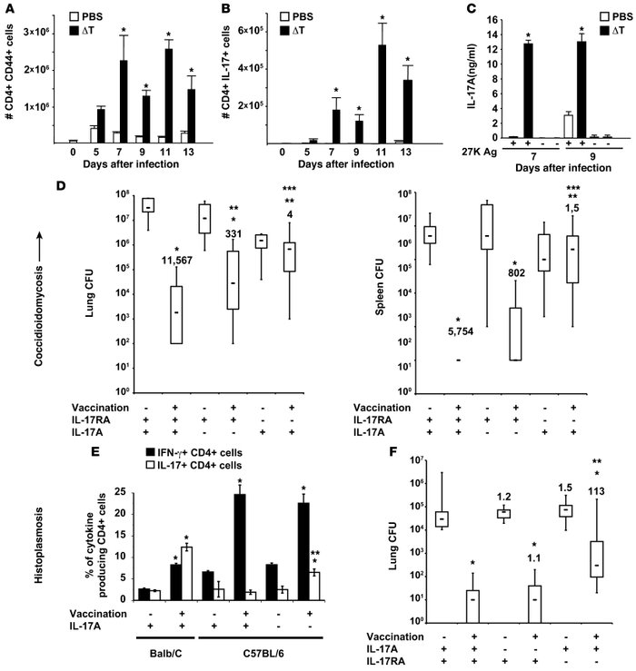 Th17 cells mediate vaccine immunity to multiple dimorphic fungi.
(A–D) C...