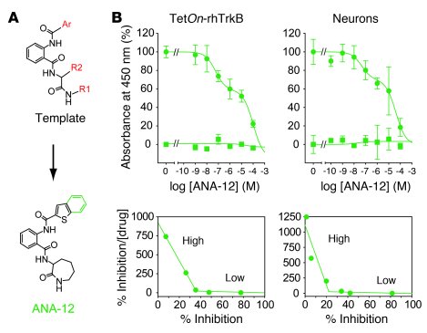 Pharmacological properties of the N-T19 analog ANA-12.
(A) Substructure ...