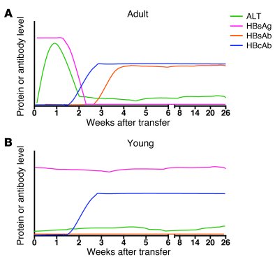 Patterns of serologic and molecular markers in this age-dependent model ...