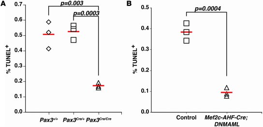 Loss of Pax3 or impaired second heart field Notch signaling results in d...