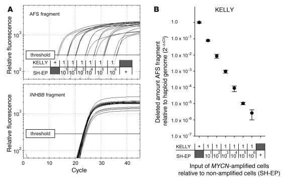 Sensitivity of AFS-PCR.
(A) RQ-PCR traces of 1 representative dilution s...