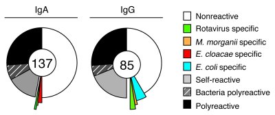 Antibody reactivity of human IgA+ and IgG+ lamina propria plasmablasts.
...