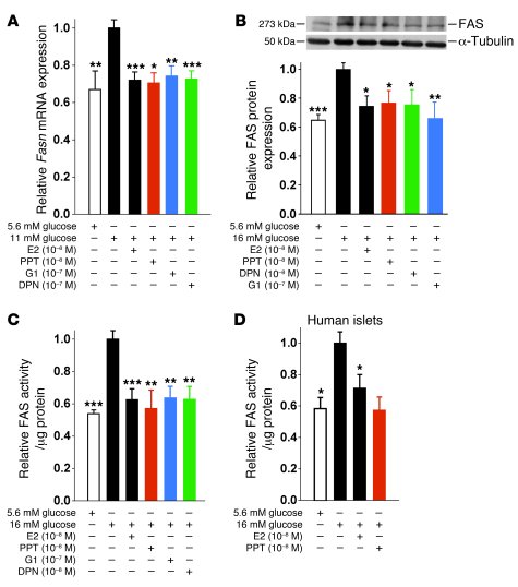 ERα, ERβ, and GPER suppress lipid synthesis in β cells.
(A) Effect of E2...