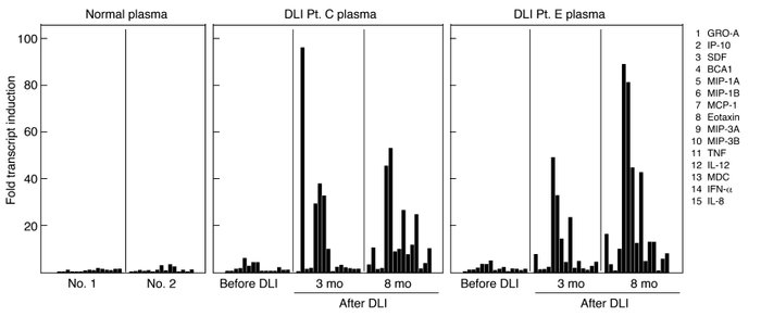 CML DLI responder plasma stimulates the transcription of a wide range of...