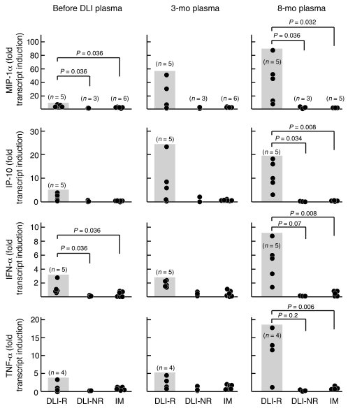 Plasma from CML DLI responders (DLI-R, n = 5), but not from CML DLI nonr...