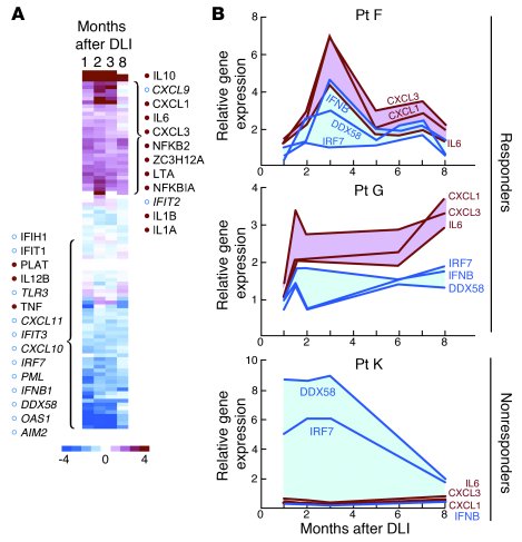Gene expression profiling of patient PBMCs during course of treatment.
(...