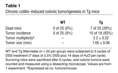 Chronic colitis–induced colonic tumorigenesis in Tg mice