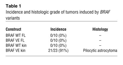 Incidence and histologic grade of tumors induced by BRAF variants
   