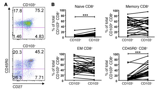 Lung CD103+CD8+ T cells are CD45R0+ effector or memory cells.
   
Differ...