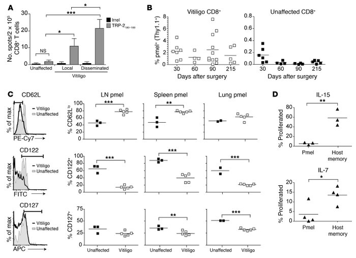 Melanoma-specific memory T cells are maintained in vitiligo-affected mic...