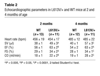 Echocardiographic parameters in L613V/+ and WT mice at 2 and 4 months of...