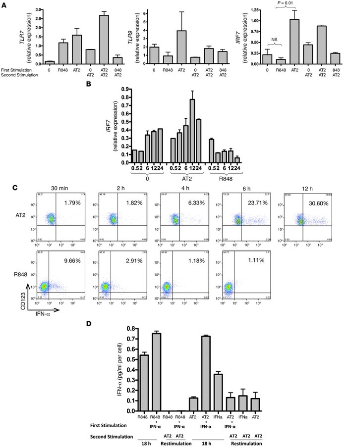 HIV-activated pDCs increase mRNA expression of IRF7, which correlates wi...