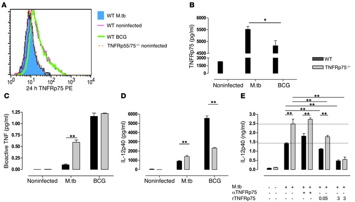 DC activation is dependent on soluble TNFRp75 inactivation of bioactive ...