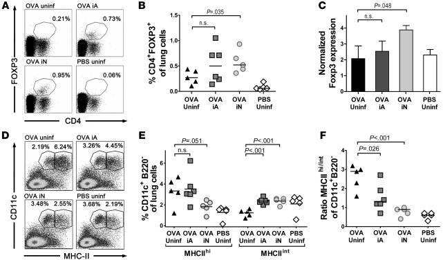 Tregs and semimature DCs accumulate in the lungs of neonatally infected ...