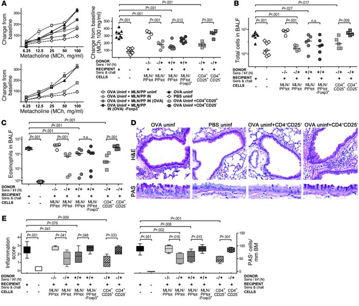 Asthma protection is conferred by Tregs.
Groups of mice were sensitized ...