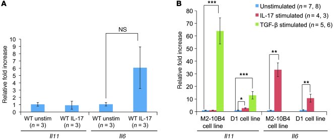 IL-17A stimulation of gastric explants and stromal cell lines.
(A) qRT-P...