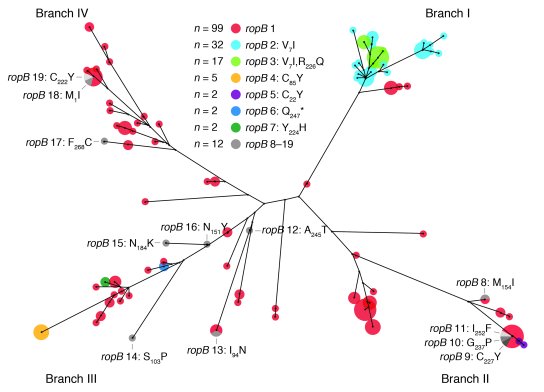 Genetic relationships among serotype M3 strains.
An unrooted neighbor-jo...