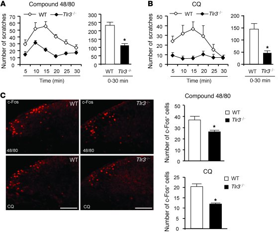 Impaired scratching behaviors and reduced c-Fos expression in the spinal...
