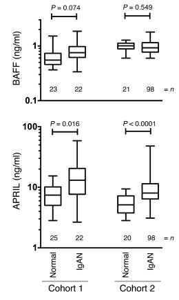 Elevated APRIL and less affected BAFF levels in the serum of patients wi...