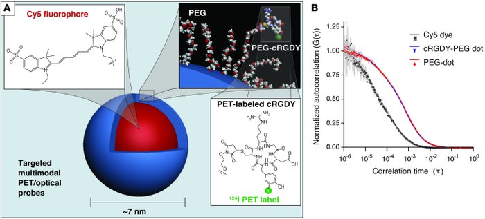 Multimodal C dot design for ανβ3 integrin targeting and characterization...
