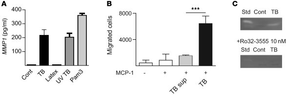 
M. tuberculosis upregulates MMP-1 secretion and activity, which is inhi...