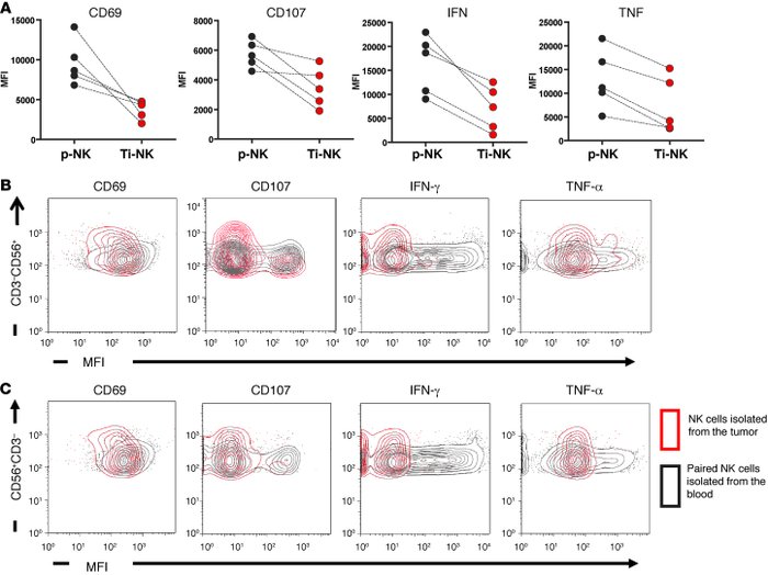 Functionality of NK cells infiltrating tumors (Ti-NK cells) compared wit...