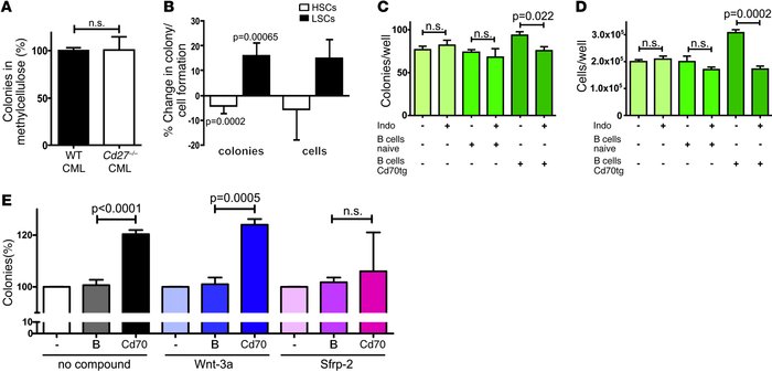 CD27 signaling increases the colony formation of LSCs in a Wnt/β-catenin...