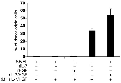 rIL-7/HGFβ maintains the hematopoietic reconstituting activity of cells ...