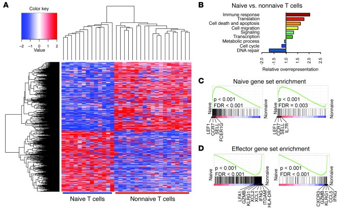 Gene expression of naive and effector T cells from peripheral blood.
(A)...