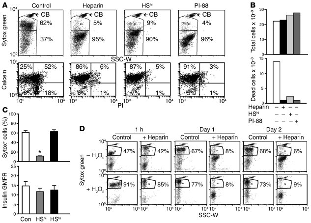 HS replacement protects isolated β cells from culture-induced and ROS-in...