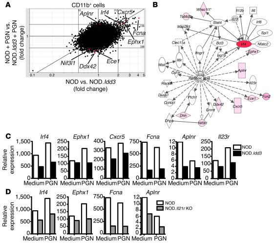 Gene profiling of cells from NOD and NOD.Idd3 mice.
   
RNA was extracte...