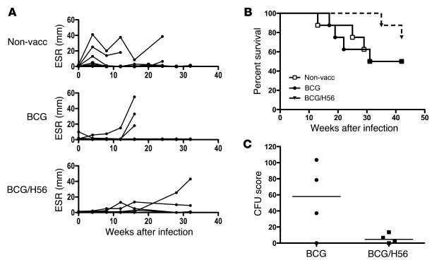 Clinical parameters after low-dose M. tuberculosis challenge.
   
Monkey...