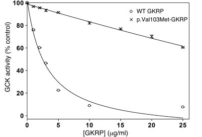 p.Val103Met-GKRP shows significantly reduced inhibition of GCK.
Inhibiti...