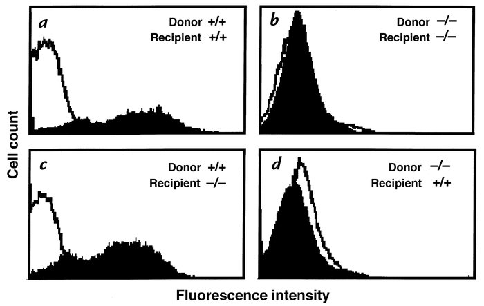 P-selectin expression in platelets of mice generated by bone marrow tran...