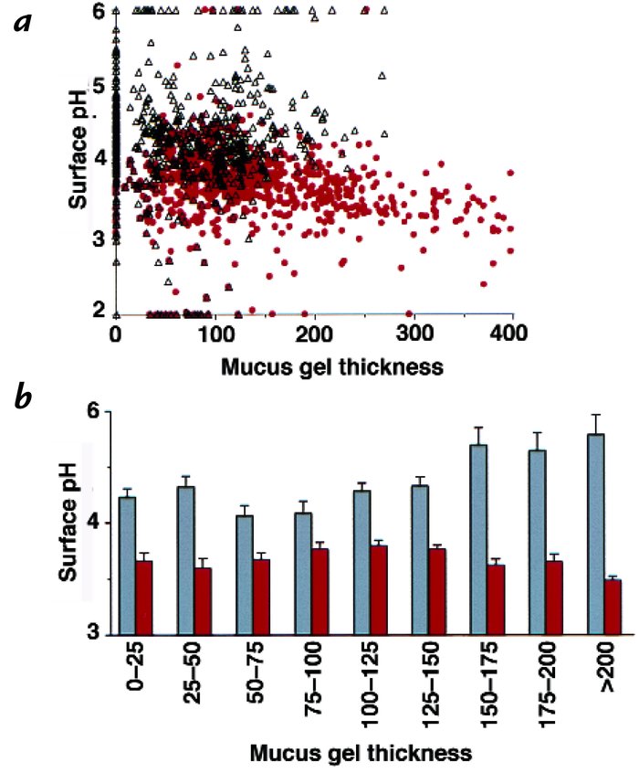 Relationship between surface pH and mucus gel thickness during pH 5 supe...