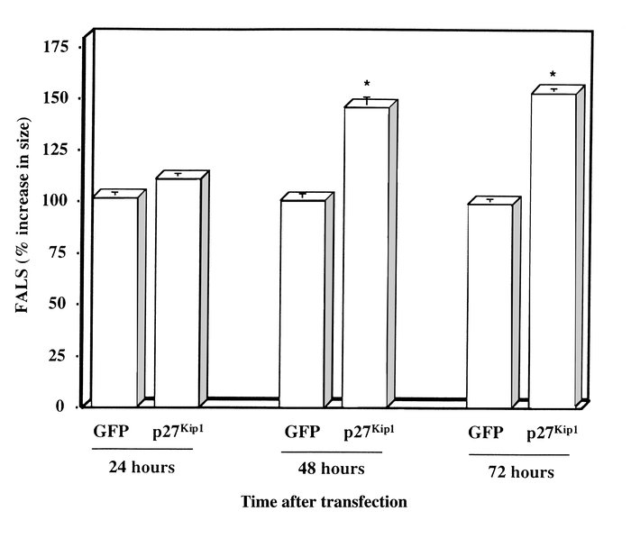 FALS indicates cellular hypertrophy in VSMCs transfected with cDNA for p...