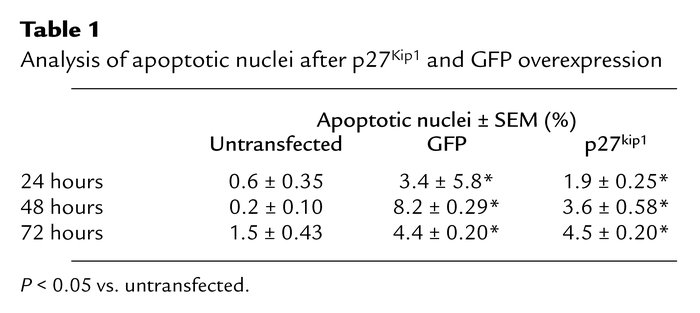 Analysis of apoptotic nuclei after p27Kip1 and GFP overexpression