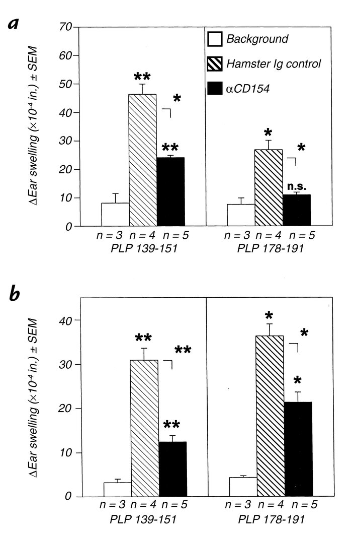 Anti-CD154 treatment inhibits DTH responses to both the initiating and r...